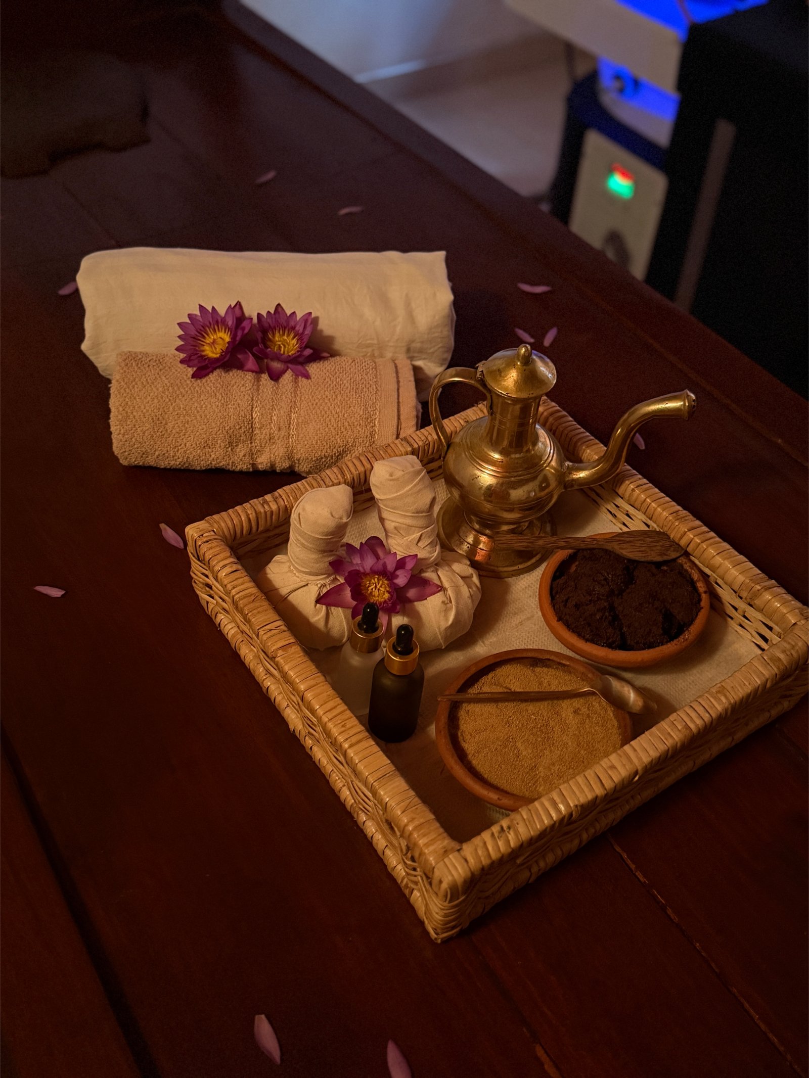 Traditional Ayurvedic Herb Preparation